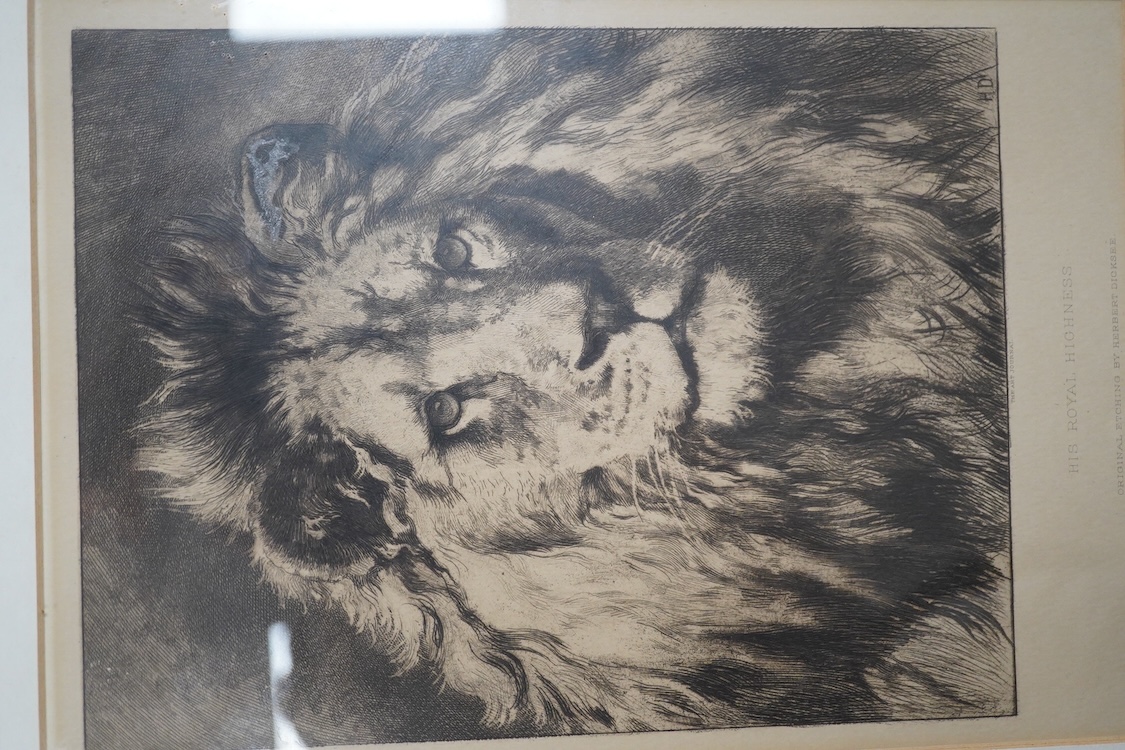 Herbert Dicksee (1862-1942), etching, 'His Royal Highness', 28 x 19cm. Condition - good